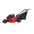 Cortadora de Pasto Php KM46P 2600W 146CC Naftera