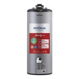 Termotanque Señorial TTS-50 50 Litros A Gas Gris