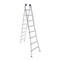 Escalera Mor 005206 Extensible 2X10 Aluminio