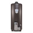 Termotanque Escorial ESC-80L Geiser A Gas 80 Litros Superior