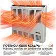 Calefactor Ctz T-6000TB/P 6000 Calorias Tiro Balanceado Linea Pesada