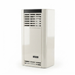 Calefactor Ctz T-2500TN/P 2500 Calorias A Gas Tiro Natural Linea Pesada